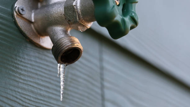 Best Residential Plumbing Services  in Mesa Del Caballo, AZ