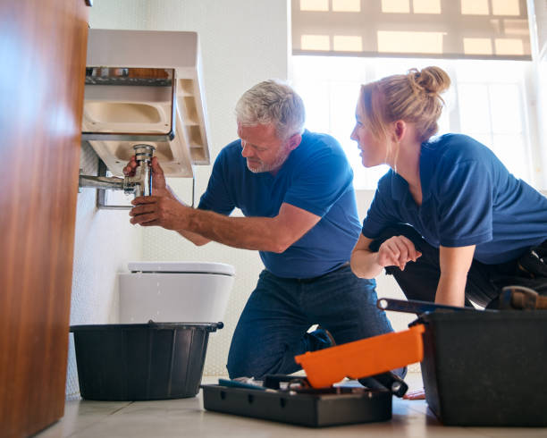 Best Affordable Plumbing Services  in Mesa Del Caballo, AZ